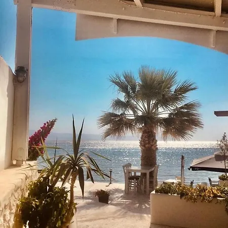 Szálloda Fisilanis Beachfront Logarász