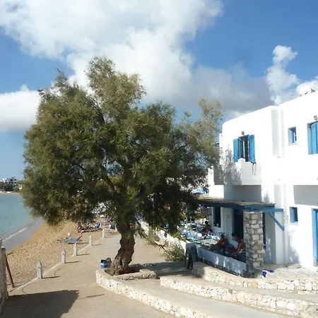 Fisilanis Beachfront Logarász